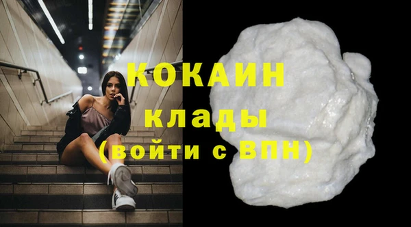 твердый Алексин