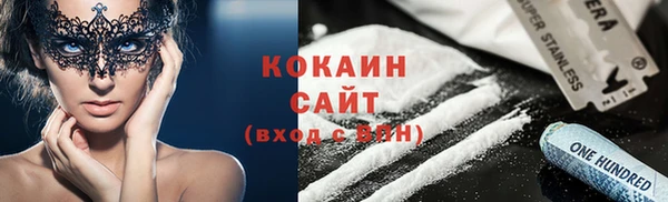твердый Алексин