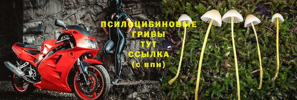 PSILOCYBIN Алексеевка