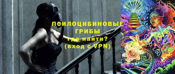 PSILOCYBIN Алексеевка