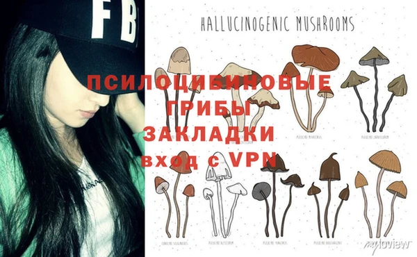 PSILOCYBIN Алексеевка