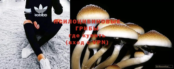 экстази Алзамай