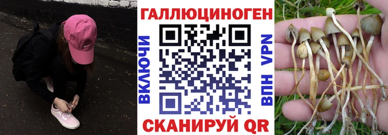 Псилоцибиновые грибы Psilocybine cubensis  наркотики  Белебей 